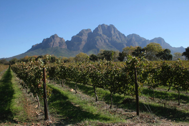 Stellenbosch