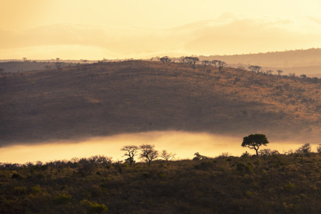 South Africa